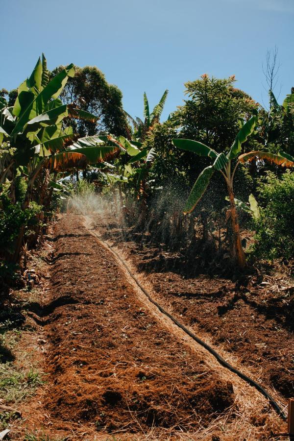 Hotel Vegano Bona Espero Alto Paraiso de Goias Ngoại thất bức ảnh